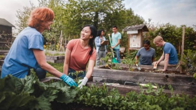 Komunitas Urban Gardening 2025: Gaya Hidup Hijau Anak Muda di Tengah Kota