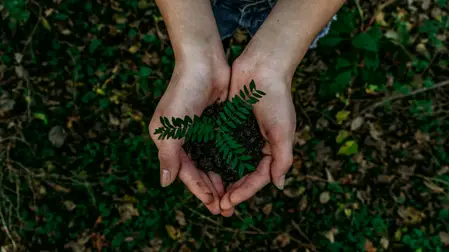Gaya Hidup Ramah Lingkungan 2025: Tren Green Living dan Transformasi Sosial di Indonesia